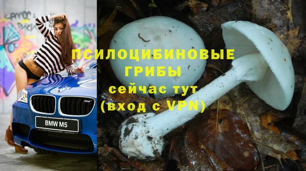 a pvp Гусь-Хрустальный