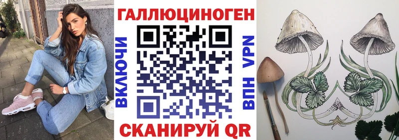 купить закладку  Ефремов  Галлюциногенные грибы Magic Shrooms 